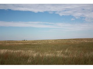 Property photo 37 - LAND AUCTION, 3255+/- Acres offered in 13 Tracts